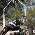 Oxley Recreation Reserve Horse Jumping