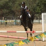 Oxley Recreation Reserve Horse Jumping2