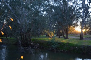 Stan Allen Reserve Oxley